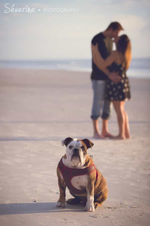 Jacksonville Beach Pictures with dog
