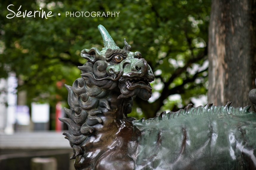 Fukuoka Dragon Japan